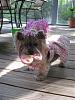 Willow's 14th Birthday!-078-1-.jpg